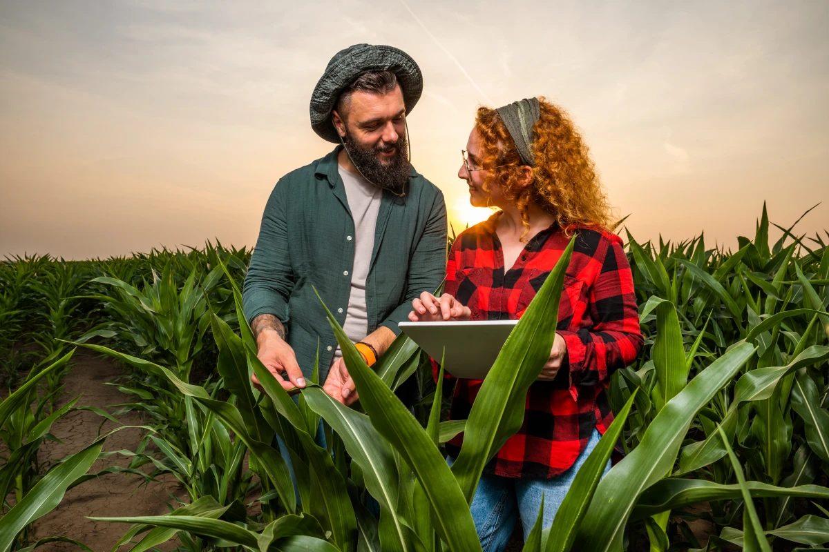 Droits de préemption dans les ventes de terrains agricoles : un enjeu majeur pour l'aménagement du territoire